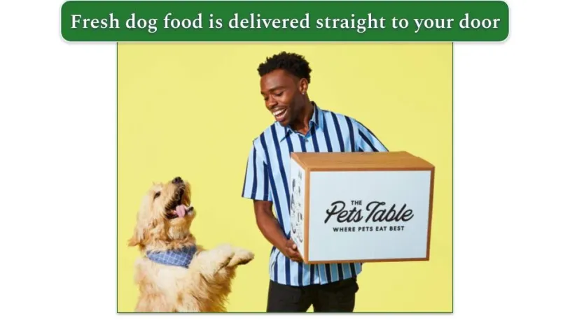 Image of a dog jumping excitedly as the owner holds The Pets Table delivery box