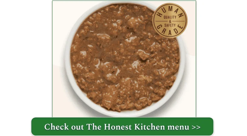 A ginger cat standing behind a bowl of Smalls cat food