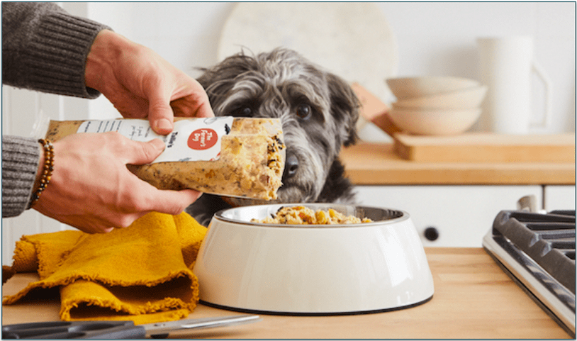 A dog watching its meal being poured into a bowl
