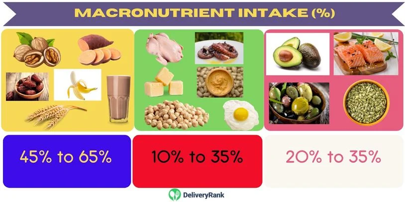 An infographic showing the recommended carb-protein-fat energy intake for swimmers