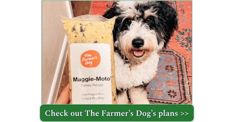 Maggie-Moto loves her The Farmer's Dog Turkey Recipe