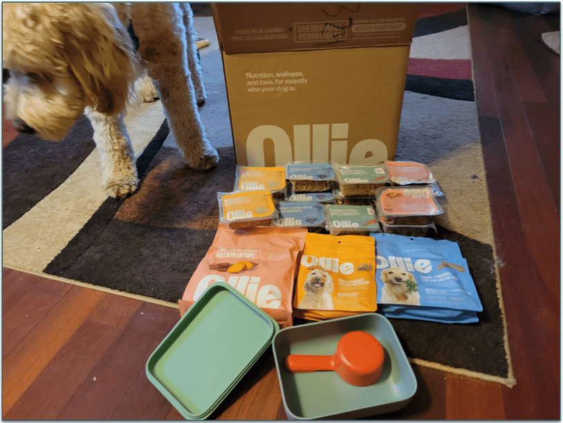 Unboxed Ollie delivery on the floor