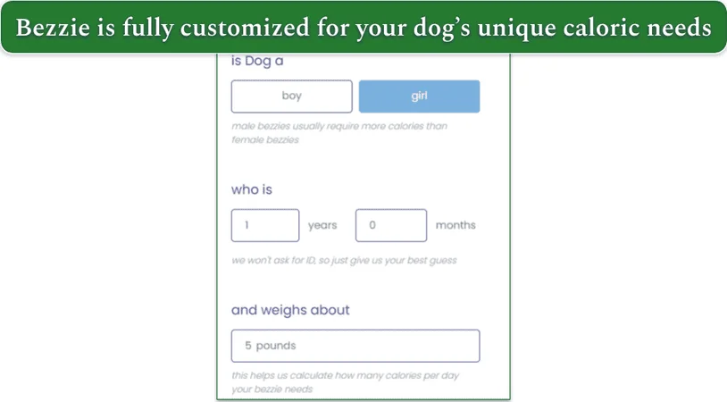 Bezzie's personalization quiz