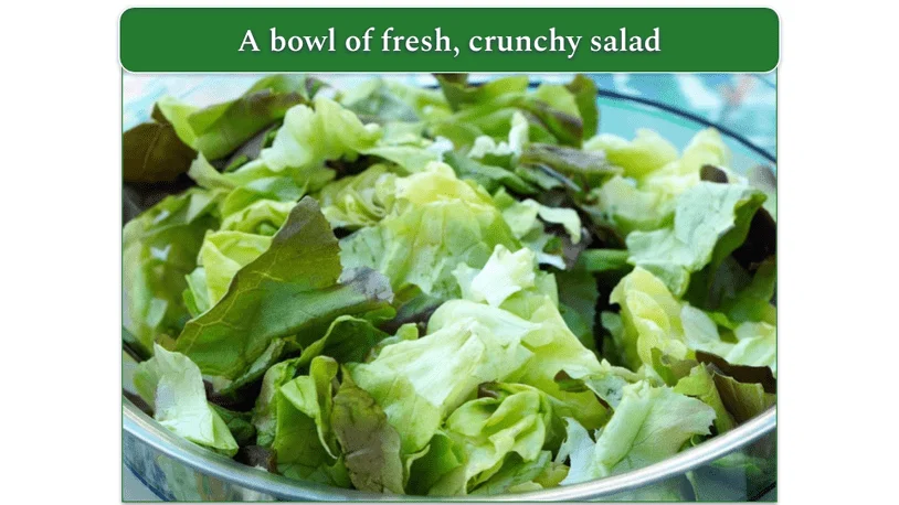 A bowl of Simple Romaine Salad