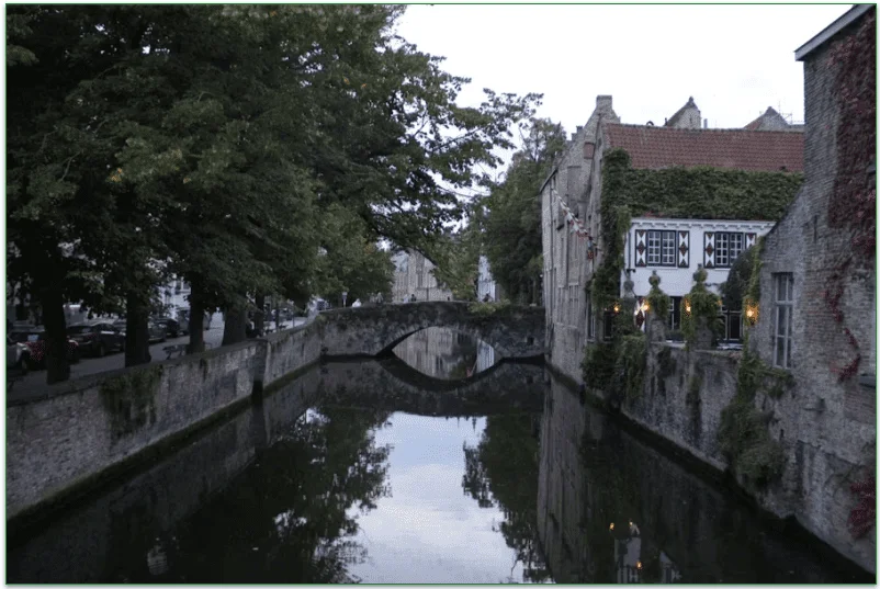 CCOF-certified farm help to reduce water pollution keeping waterways clean and healthy