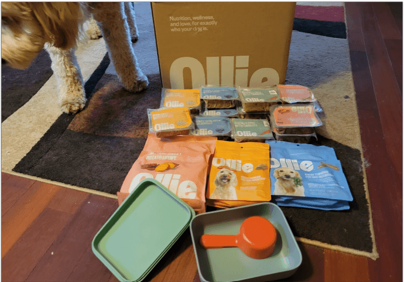 Image of Ollie's first order that includes puptainer and scoop