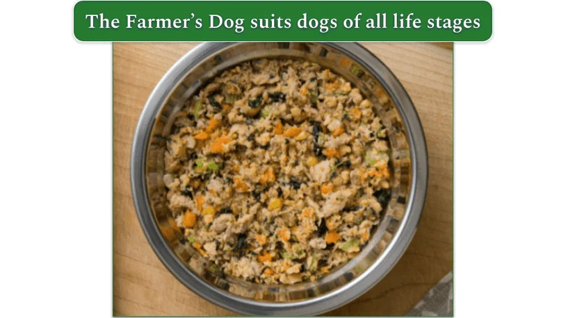 Turkey recipe from The Farmer's Dog