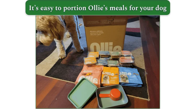 Unboxed Ollie delivery on the floor