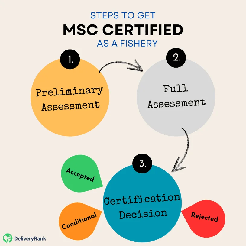 Infographic of the steps a fishery needs to go through before getting certified