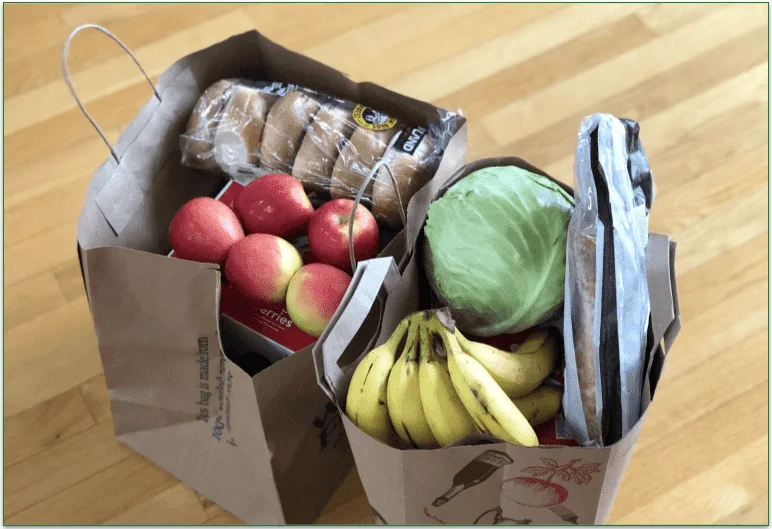 Grocery bags full of shopping