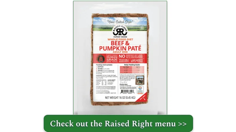 Raised Right's Beef & Pumpkin Paté for Adult Dogs in its packaging