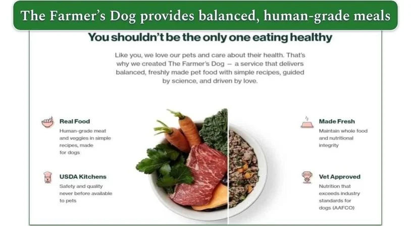 a plate split between raw meat and vegetables and prepared Farmer's Dog dog food.