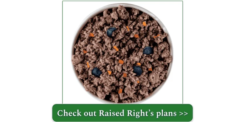 Raised Right's Original Pork Adult Dog Recipe