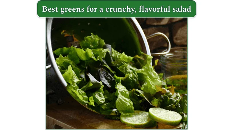 Freshly washed mustard greens for the salad