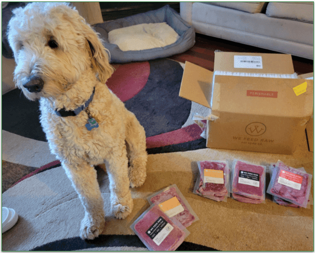 A golden doodle next to an unpacked we feed raw delivery
