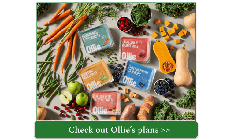 Selection of fresh Ollie meals surrounded by fresh food