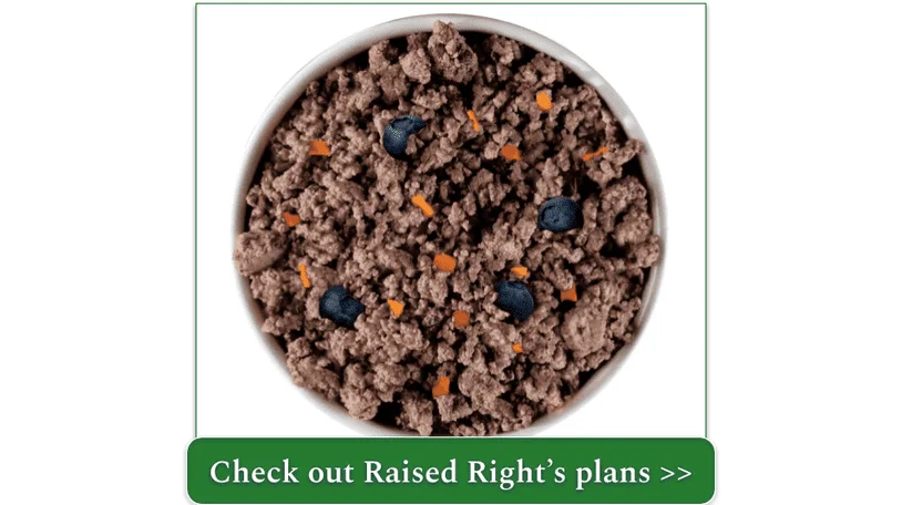 Raised Right's Original Pork Adult Dog Recipe