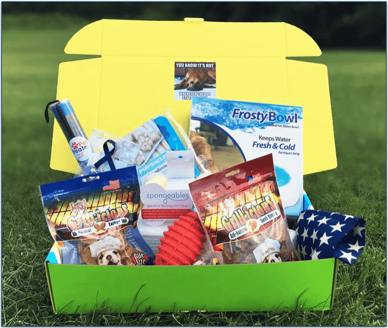 Image of an open deluxe dog box filled with treats, toys, and accesssories