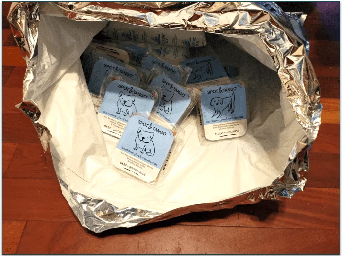 Opened silver bag containing frozen food portions and ice packs