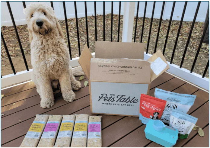 Baxter sitting next to an open The Pets Table delivery box with the contents displayed on the porch