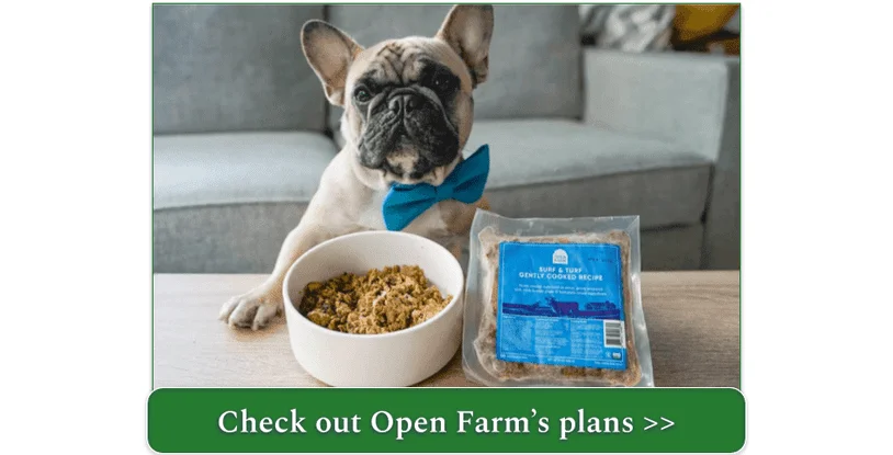 A French Bulldog with a blue bowtie is ready to enjoy his Open Farm Surf & Turf Gently Cooked Recipe