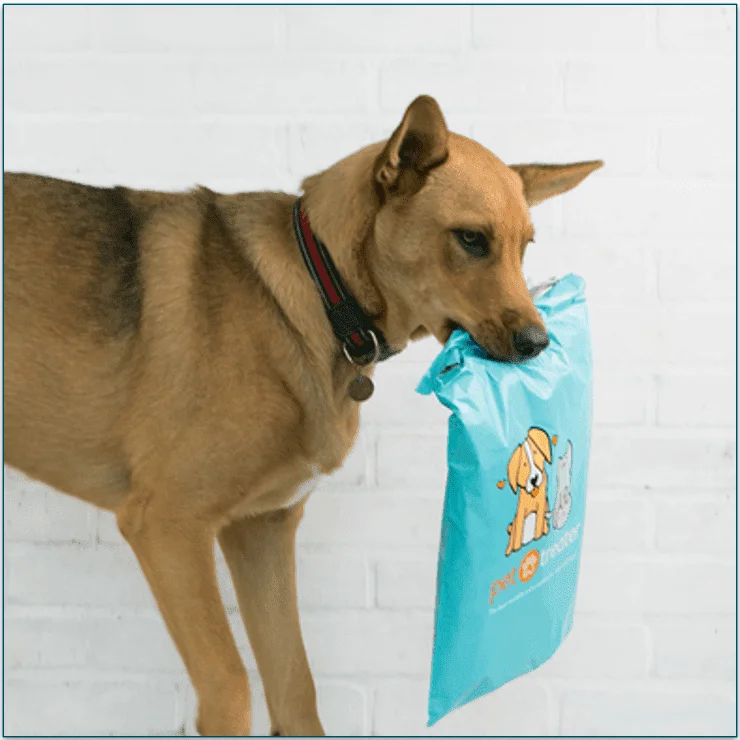 Dog holding a Pet Treater Welcome Pack in its mouth