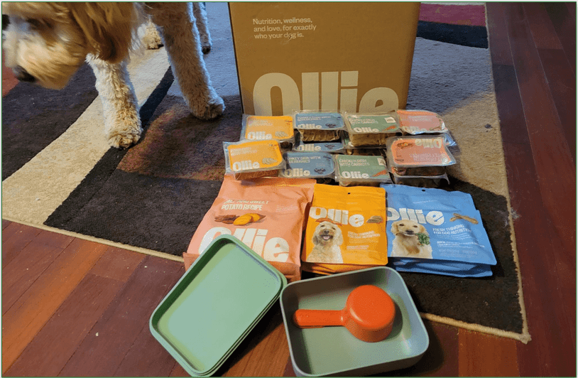 Our reviewers dog standing to a selection of Ollie’s meals with the free Puptainer also visible
