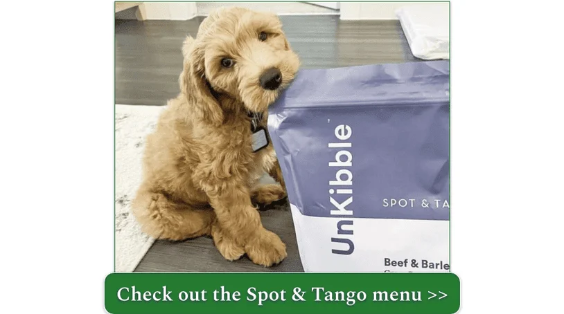 Picture of a labradoodle puppy with a bag of Spot & Tango Beef & Barley UnKibble