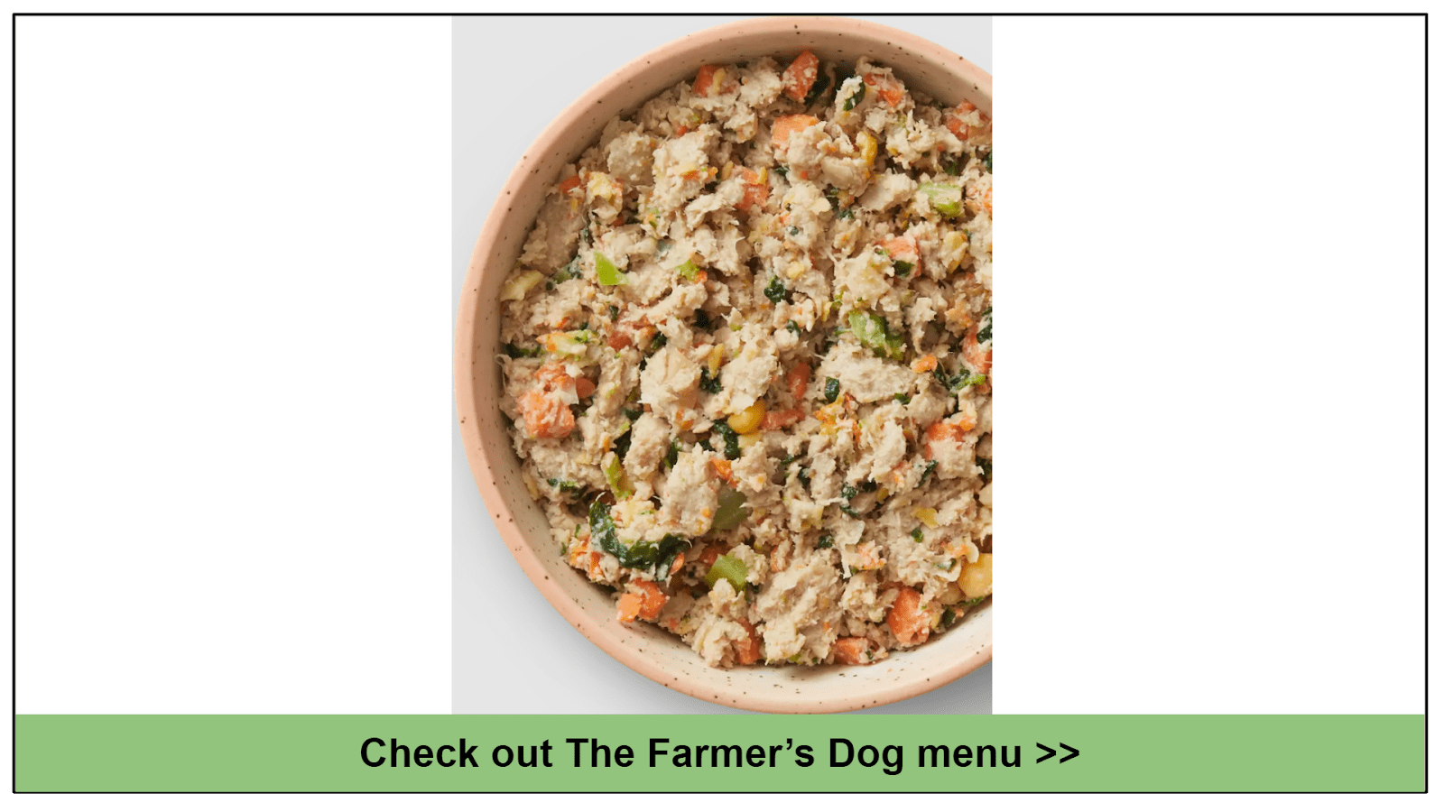 Best homemade dog top food delivery