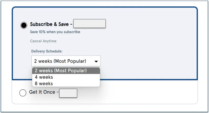 Delivery schedule options for subscriptions