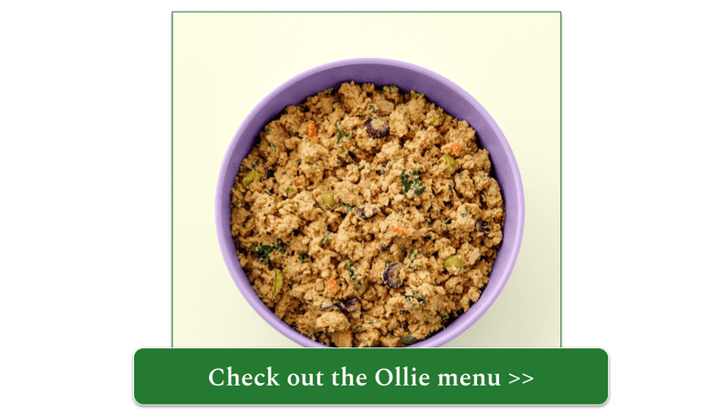 Ollie fresh chicken meal in purple bowl