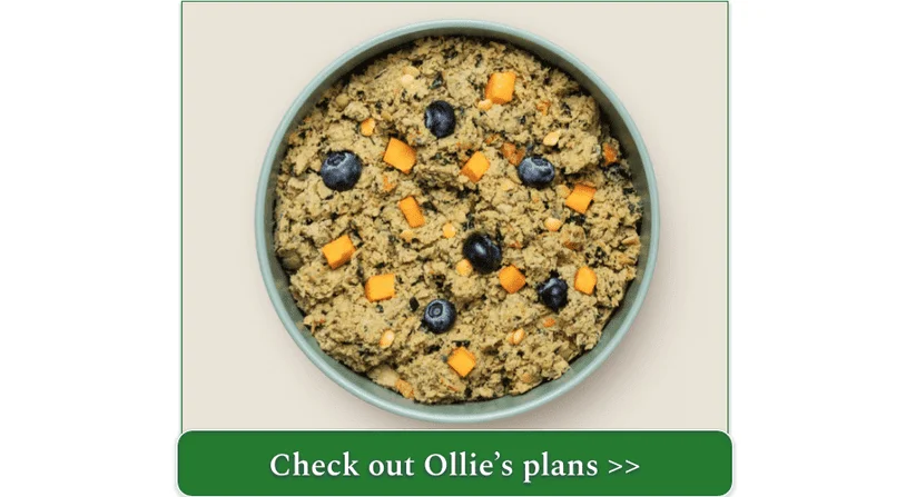 Ollie's Fresh Turkey recipe in a bowl