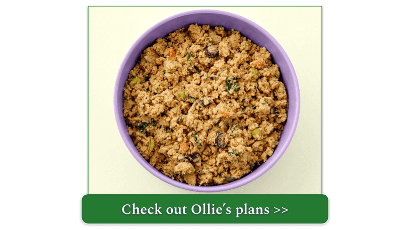 Ollie's fresh chicken recipe in a purple bowl