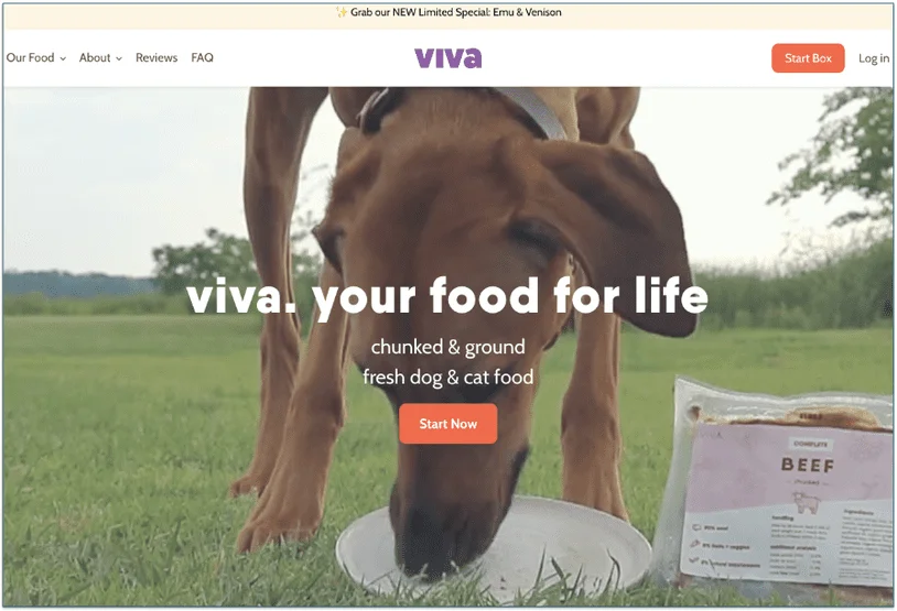viva raw's homepage shows 2 different buttons to start the ordering process
