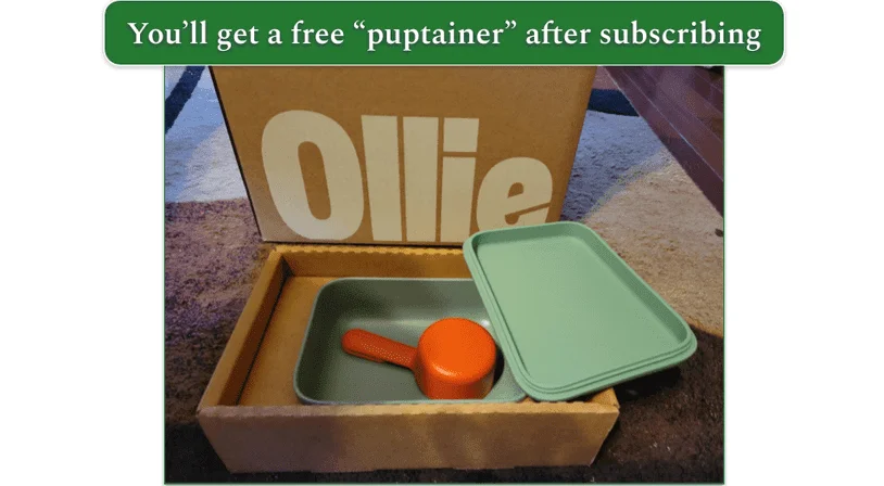 Unboxed Ollie delivery on the floor