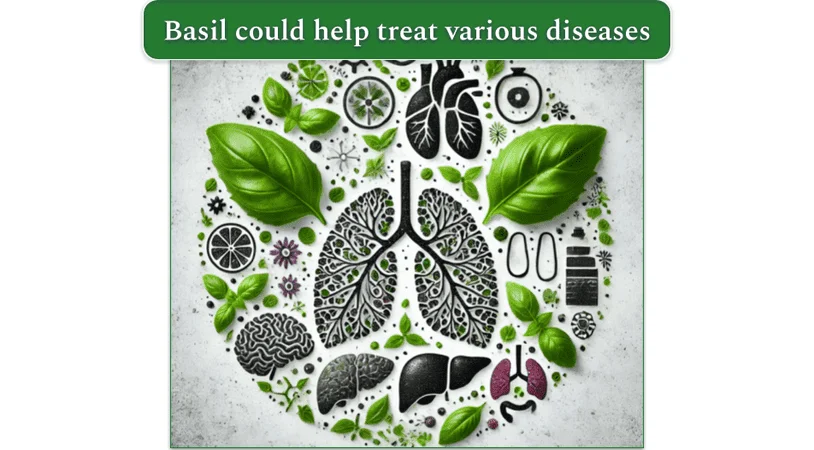 Health benefits of basil in image format