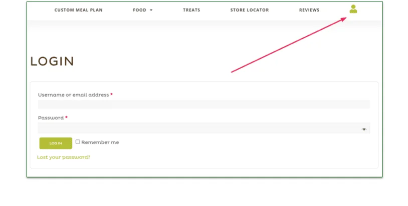 Screenshot of Raised Right's login page