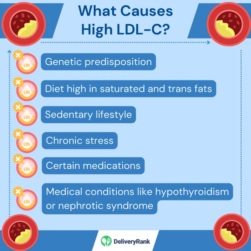 an infographic showing the causes of high LDL cholesterol