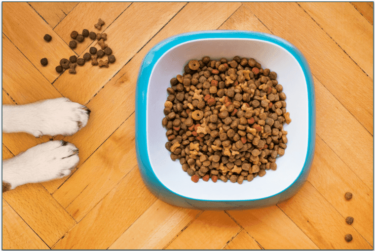 bowl of dry dog food with two paws to the side