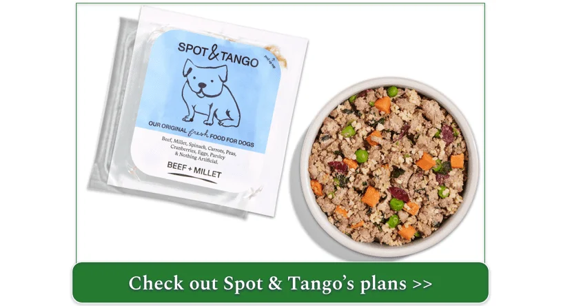 A bowl of Spot & Tango's fresh meal option with Beef and Millet