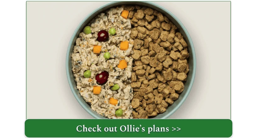 Ollie's fresh and baked Chicken recipes in one bowl