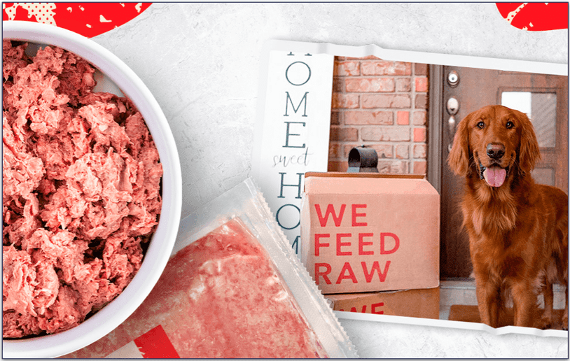 A bowl of We Feed Raw Beef Recipe with a photo of an Irish Setter beside it.