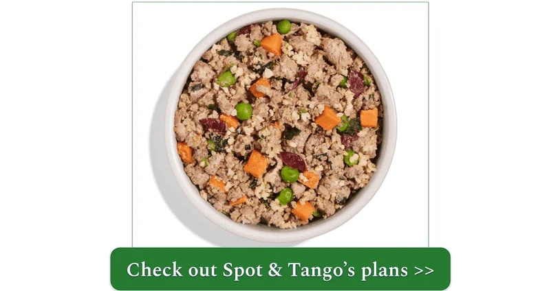 A bowl of Spot & Tango's Fresh Beef recipe