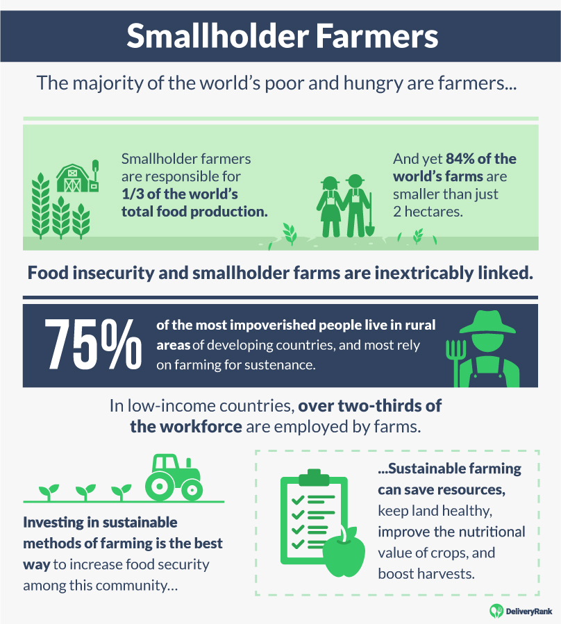 Small-scale producers key to attaining food security and ending hunger, Working in development