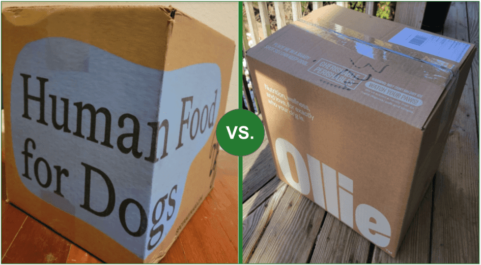 Spot & Tango vs. Ollie boxes side-by-side