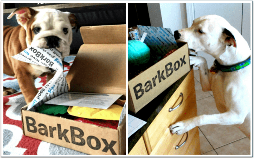 Boxes are recyclable, but food/treat bags aren’t