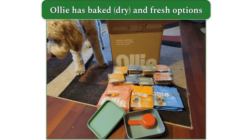 A selection of meals and treats from Ollie