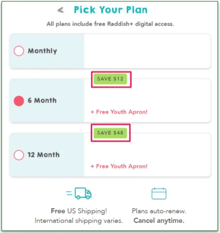 Raddish Kids' billing plans