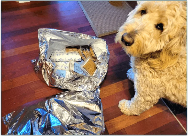 Baxter siting next to his fresh food delivery bags