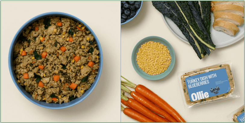 Ingredients, packaging, and unpackaged final product of Ollie's Turkey Dish with Blueberries